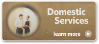 domestic services